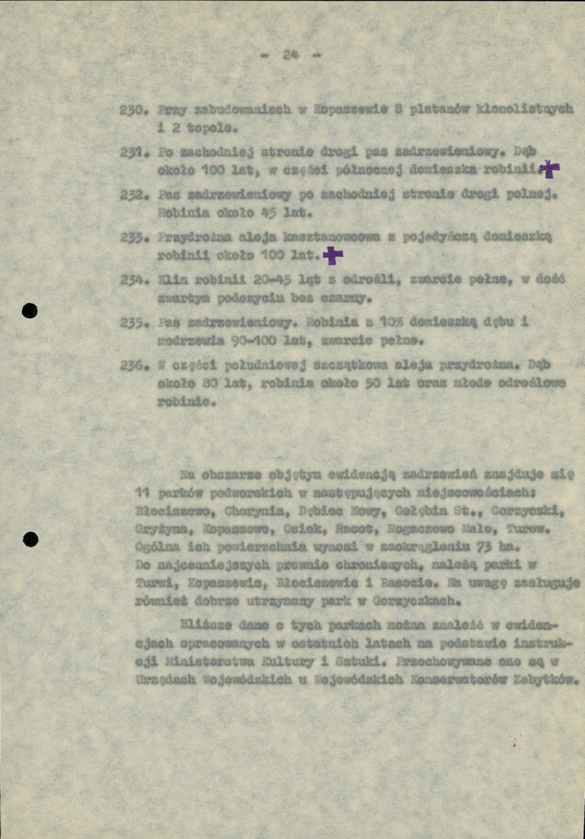 Ewidencja parkowa, skan nr 28