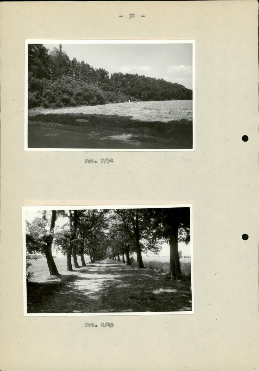 Ewidencja parkowa, skan nr 38