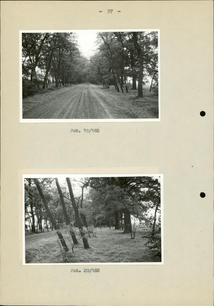 Ewidencja parkowa, skan nr 44