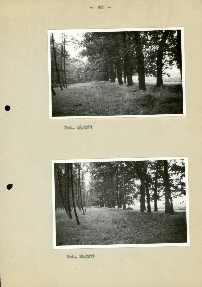 Ewidencja parkowa, skan nr 47