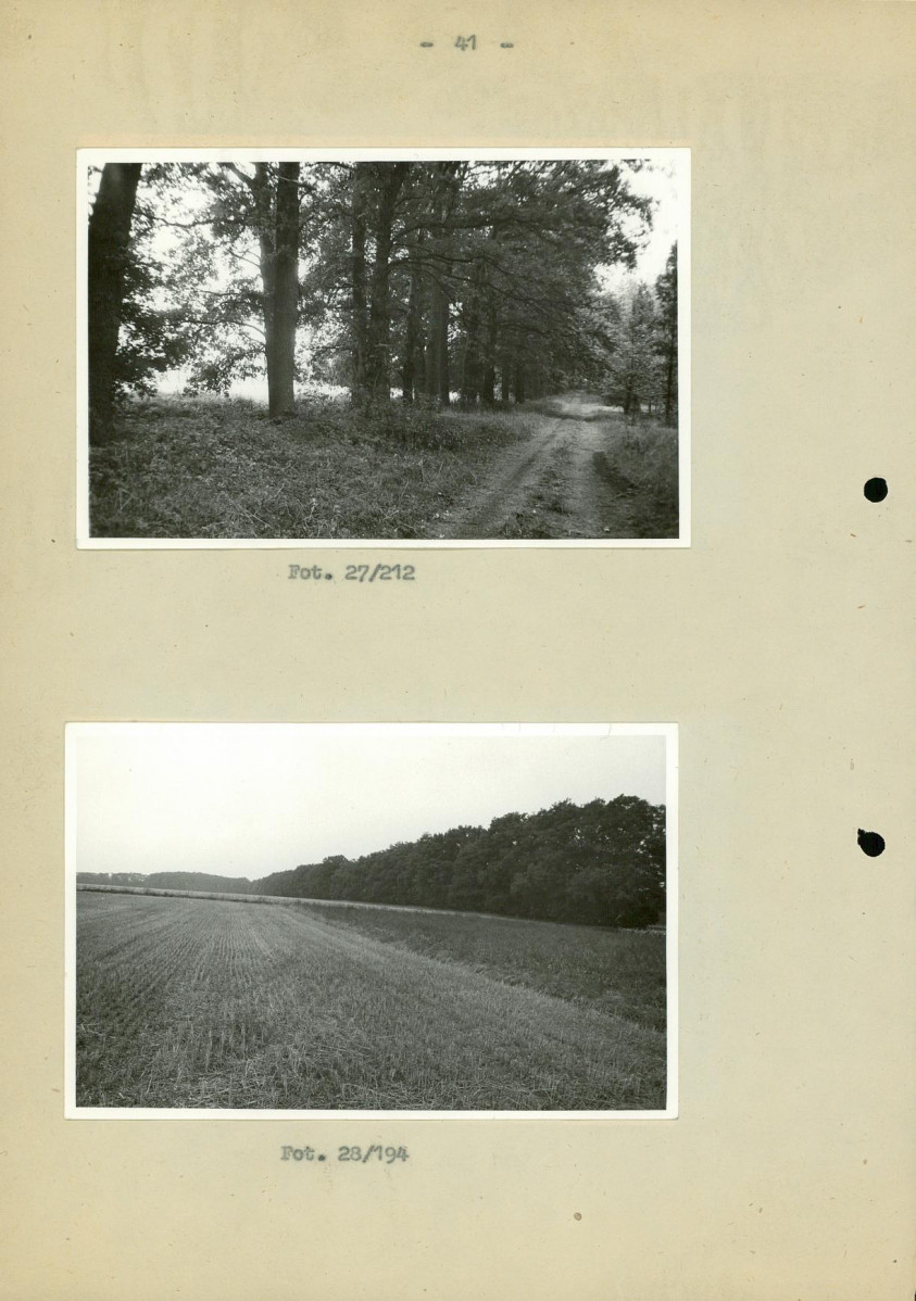 Ewidencja parkowa, skan nr 48