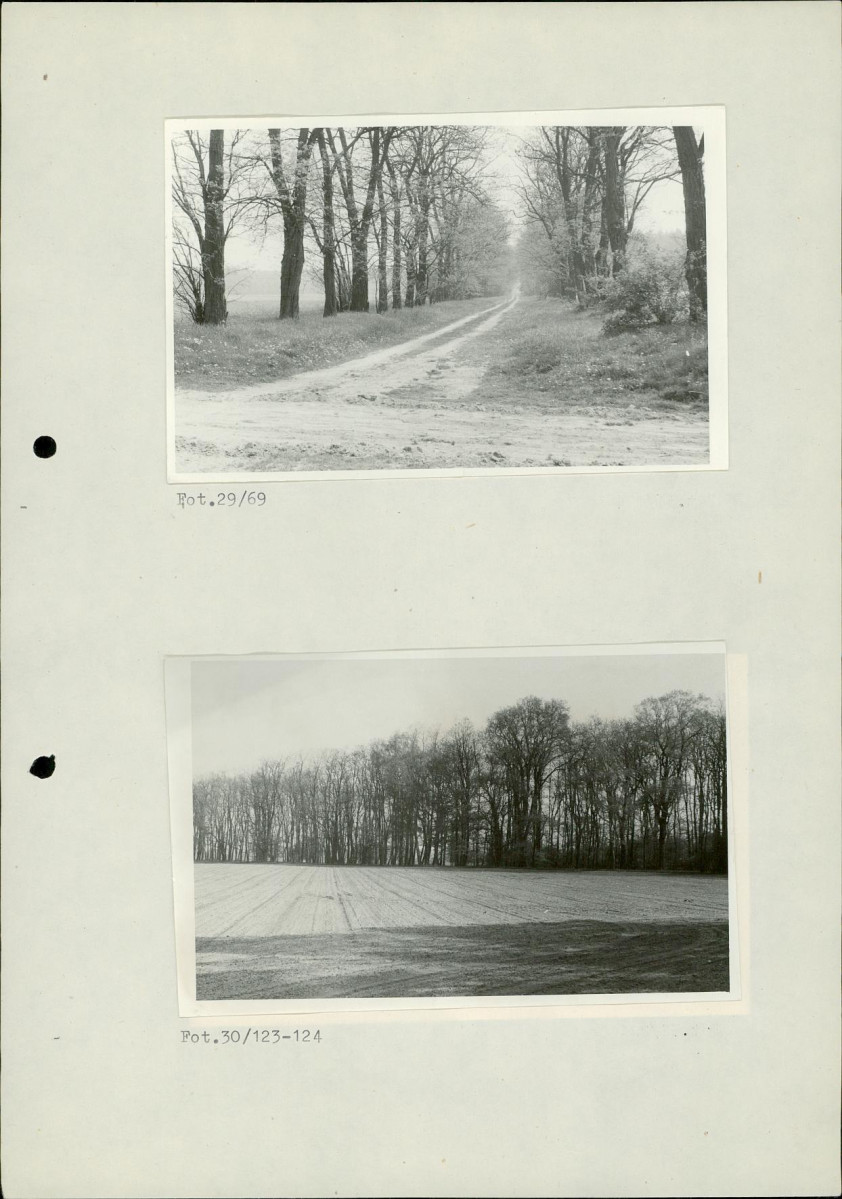 Ewidencja parkowa, skan nr 49