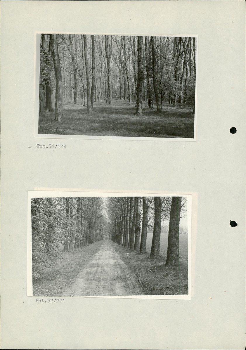 Ewidencja parkowa, skan nr 50