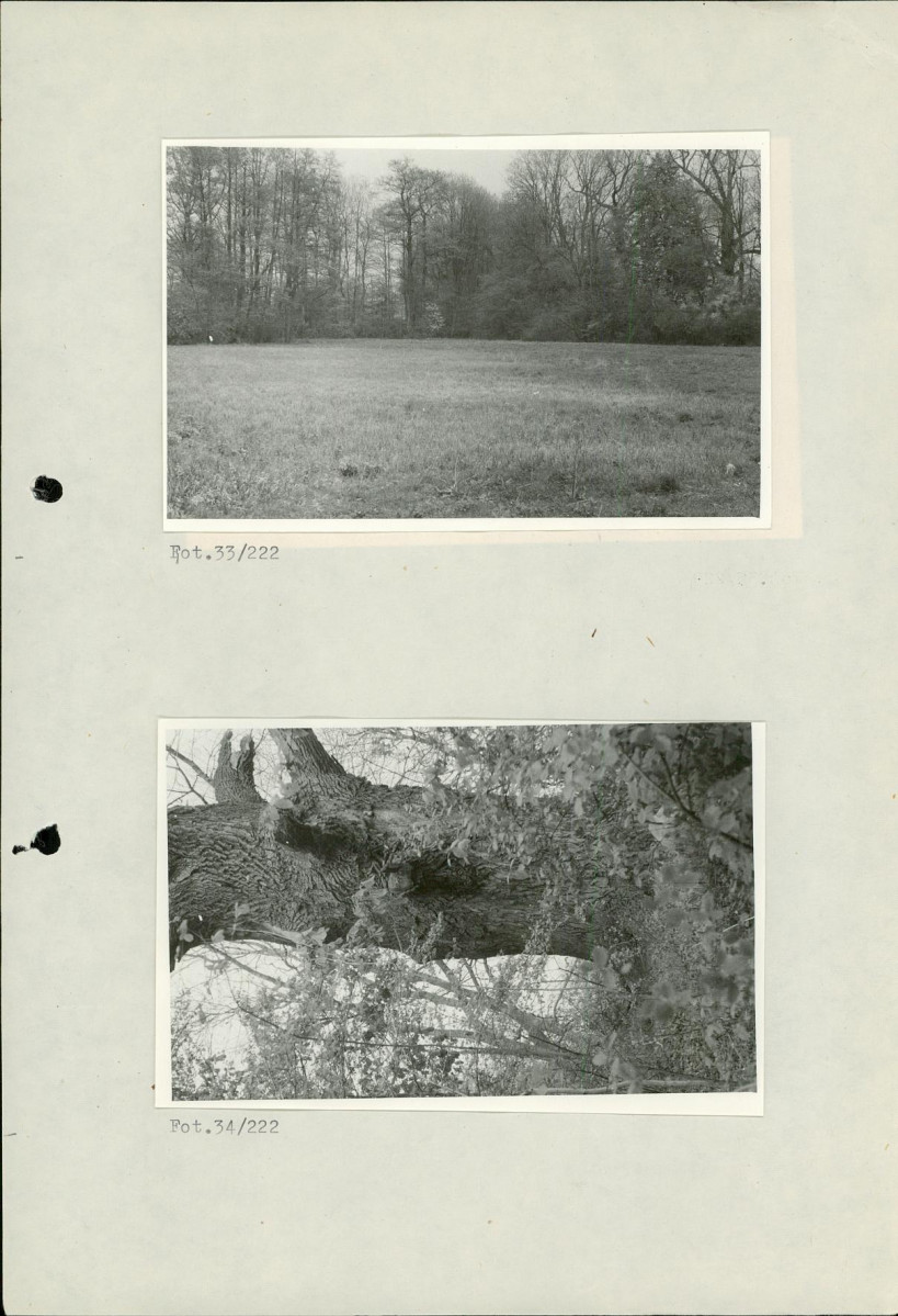 Ewidencja parkowa, skan nr 51