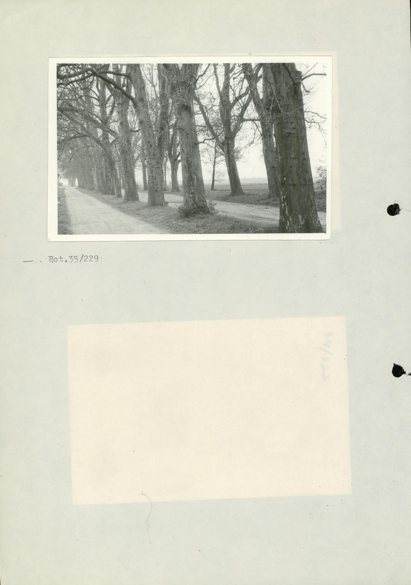 Ewidencja parkowa, skan nr 52