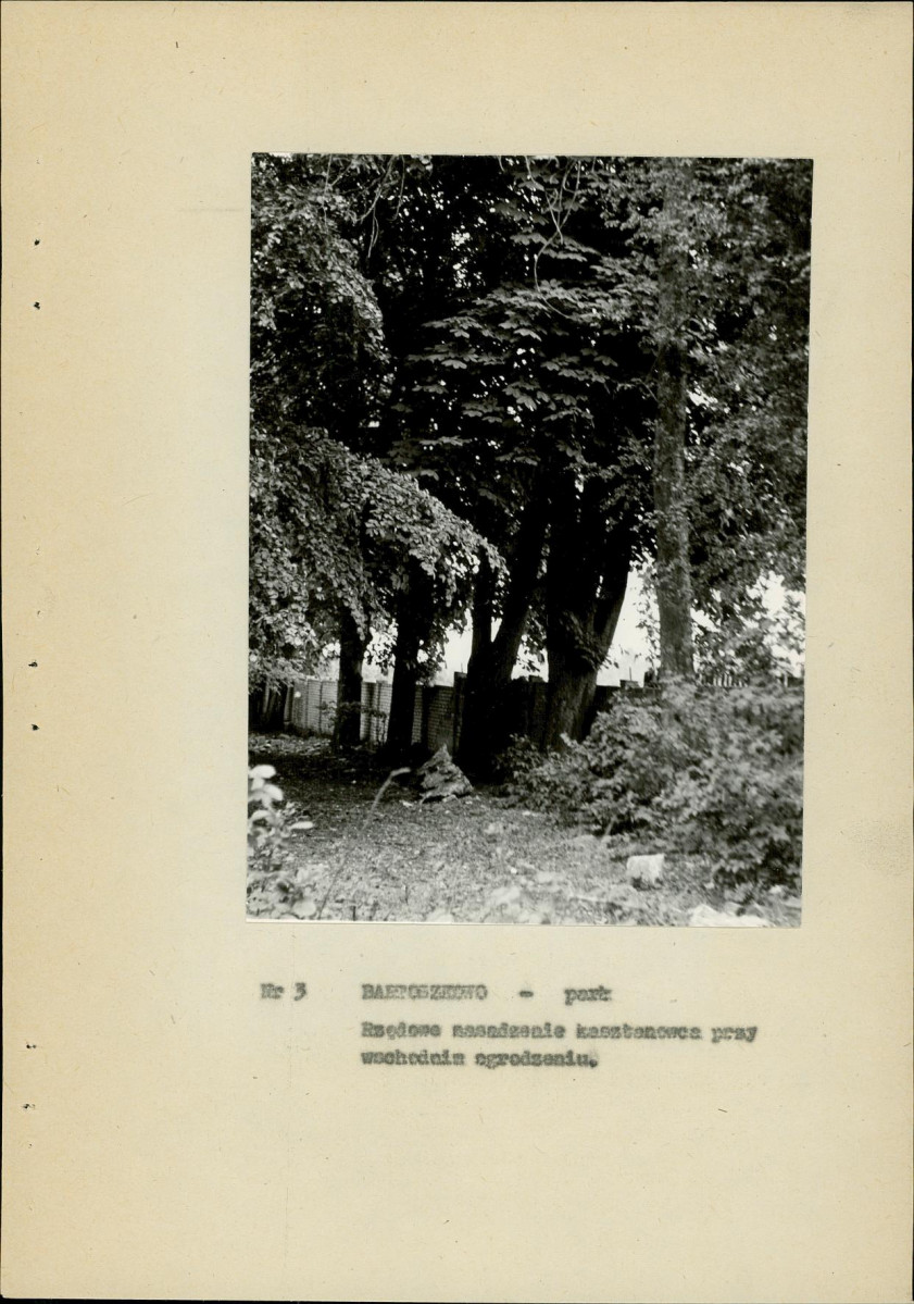 Ewidencja parkowa, skan nr 21