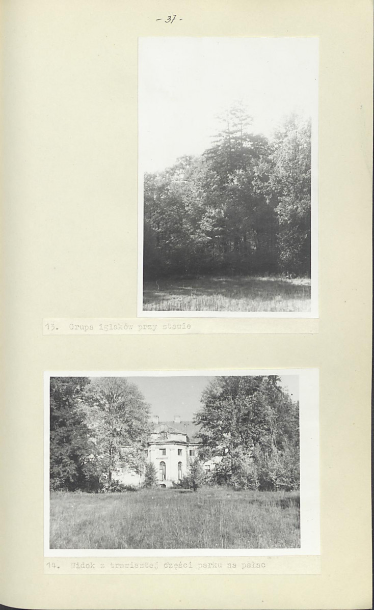 Ewidencja parkowa, skan nr 43