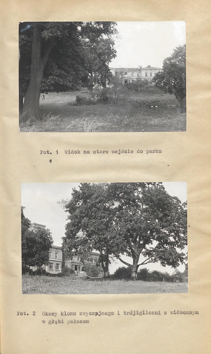 Ewidencja parkowa, skan nr 18