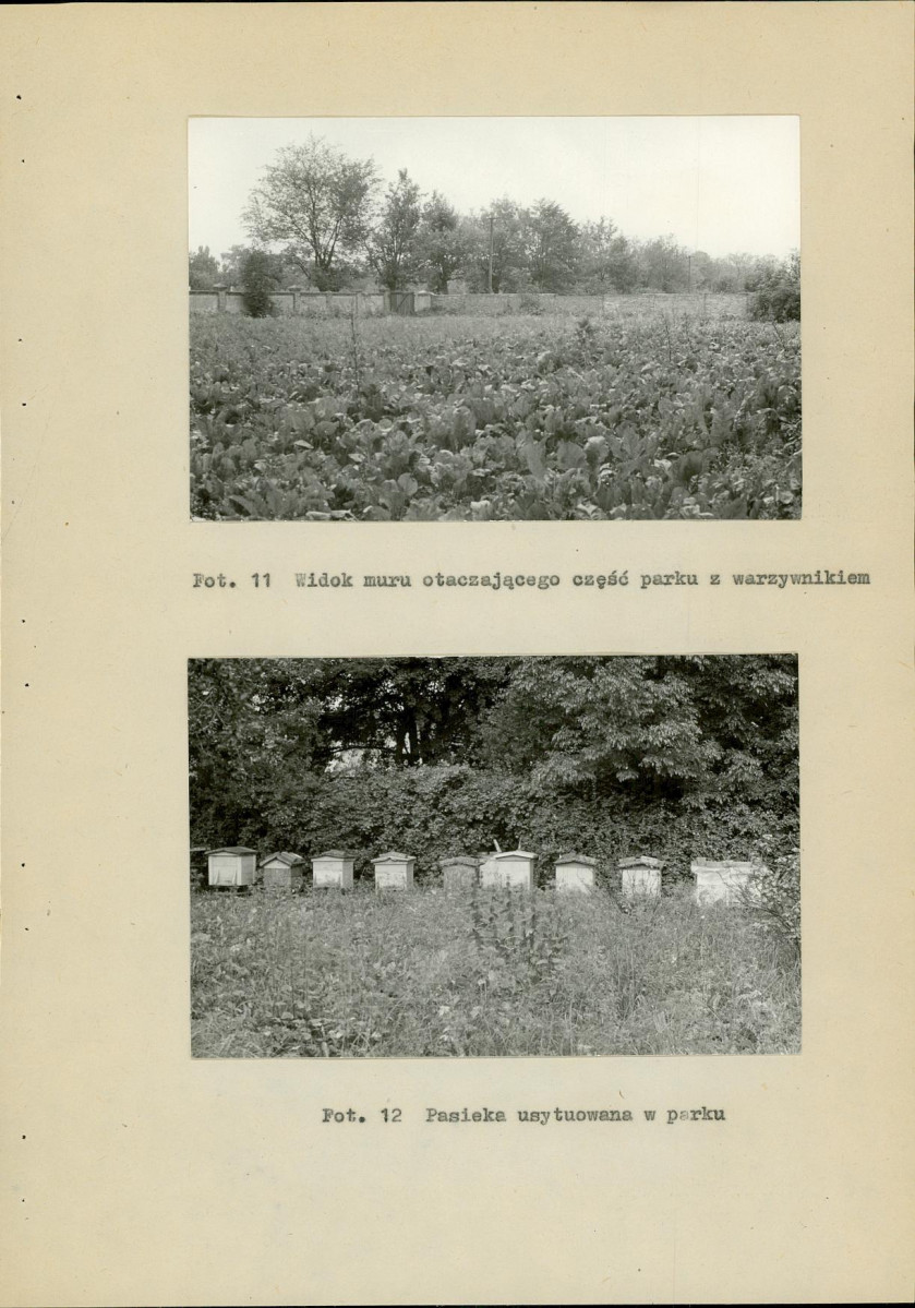 Ewidencja parkowa, skan nr 26
