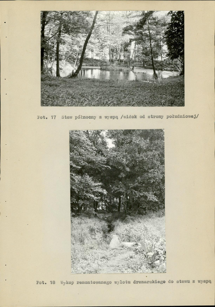 Ewidencja parkowa, skan nr 29