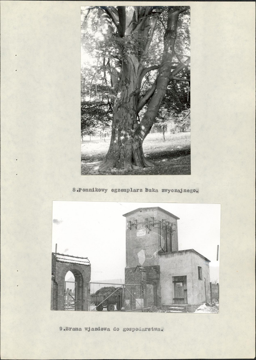 EP - Ewidencja parkowa, skan nr 16