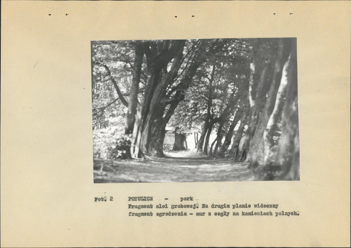 Ewidencja parkowa, skan nr 19