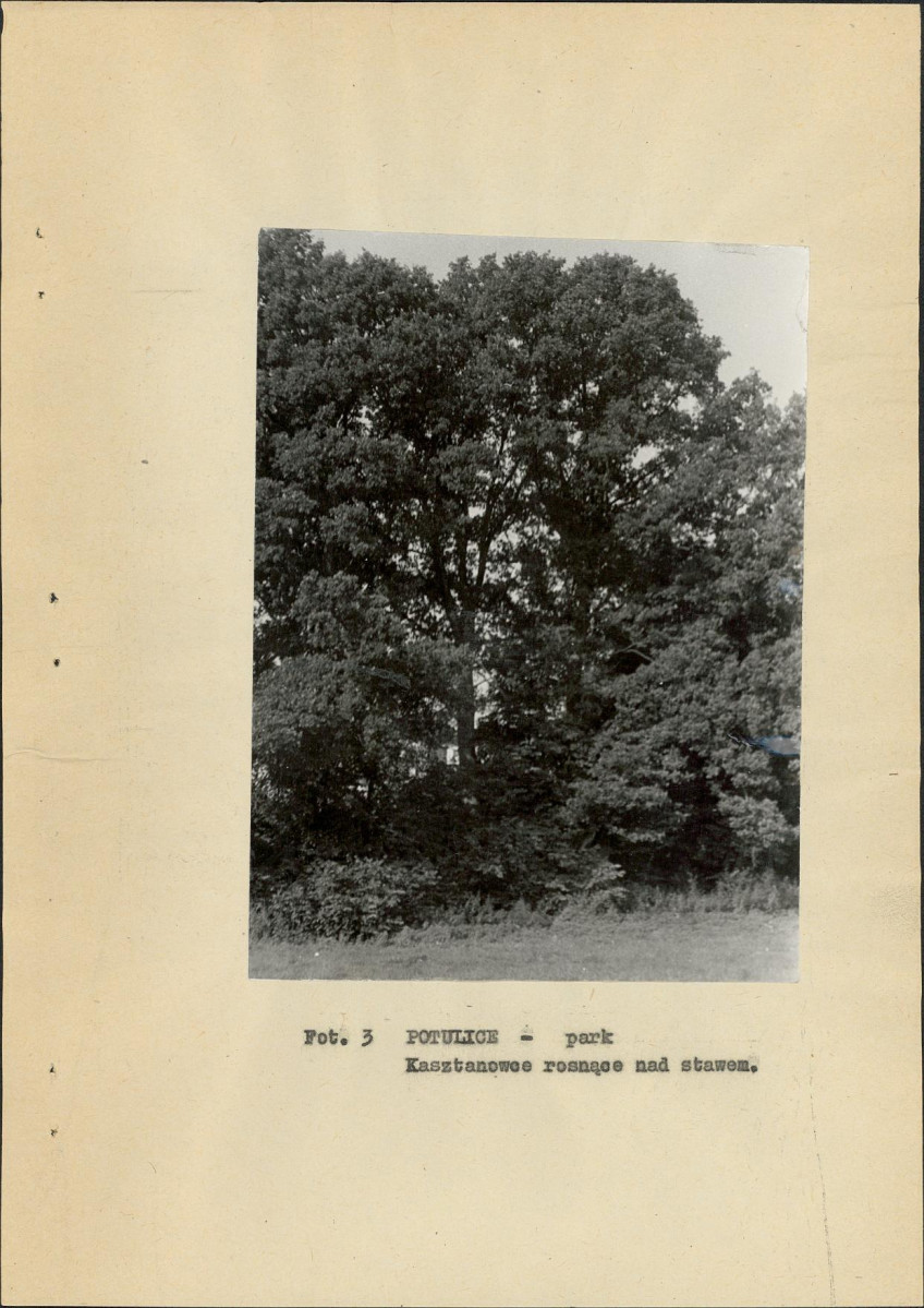 Ewidencja parkowa, skan nr 20