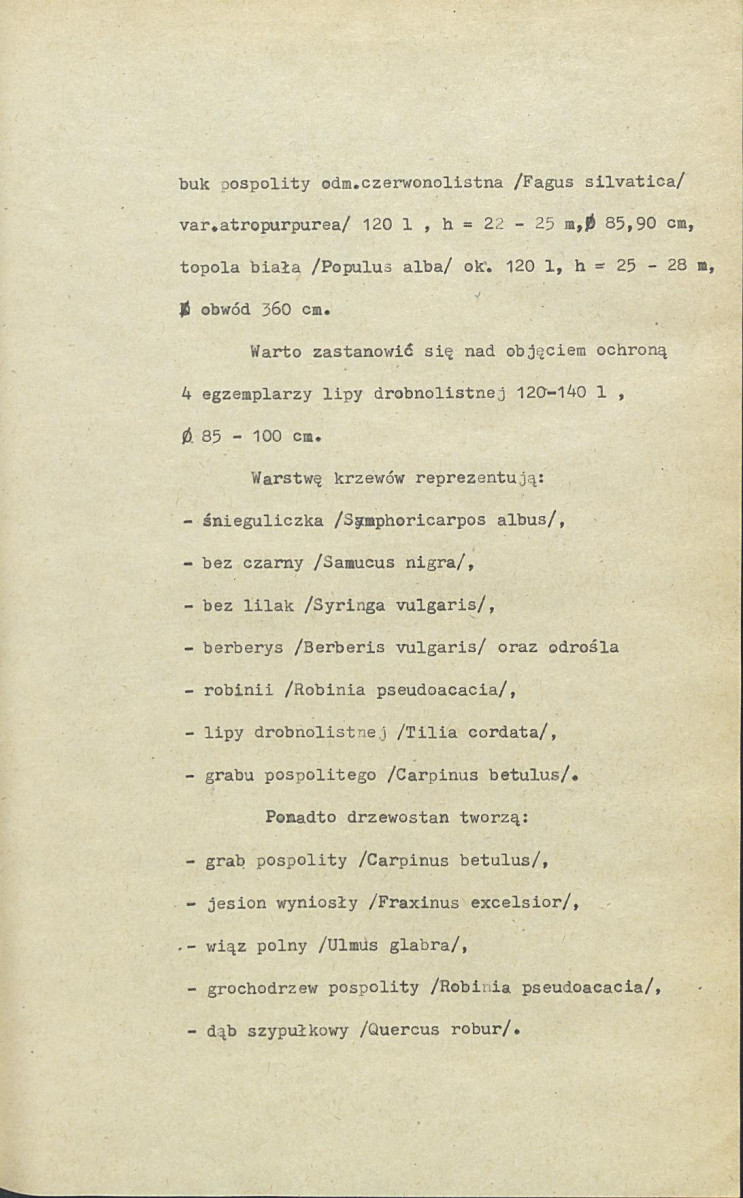 Ewidencja parkowa, skan nr 13