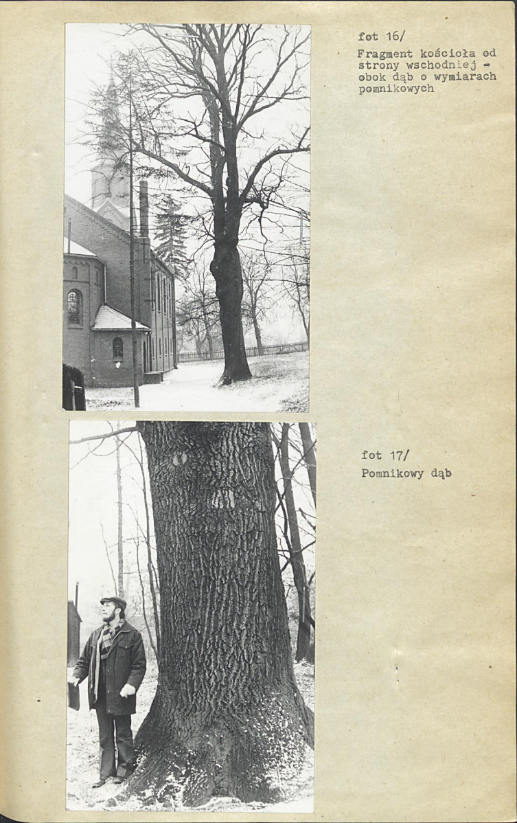 Ewidencja parkowa, skan nr 20