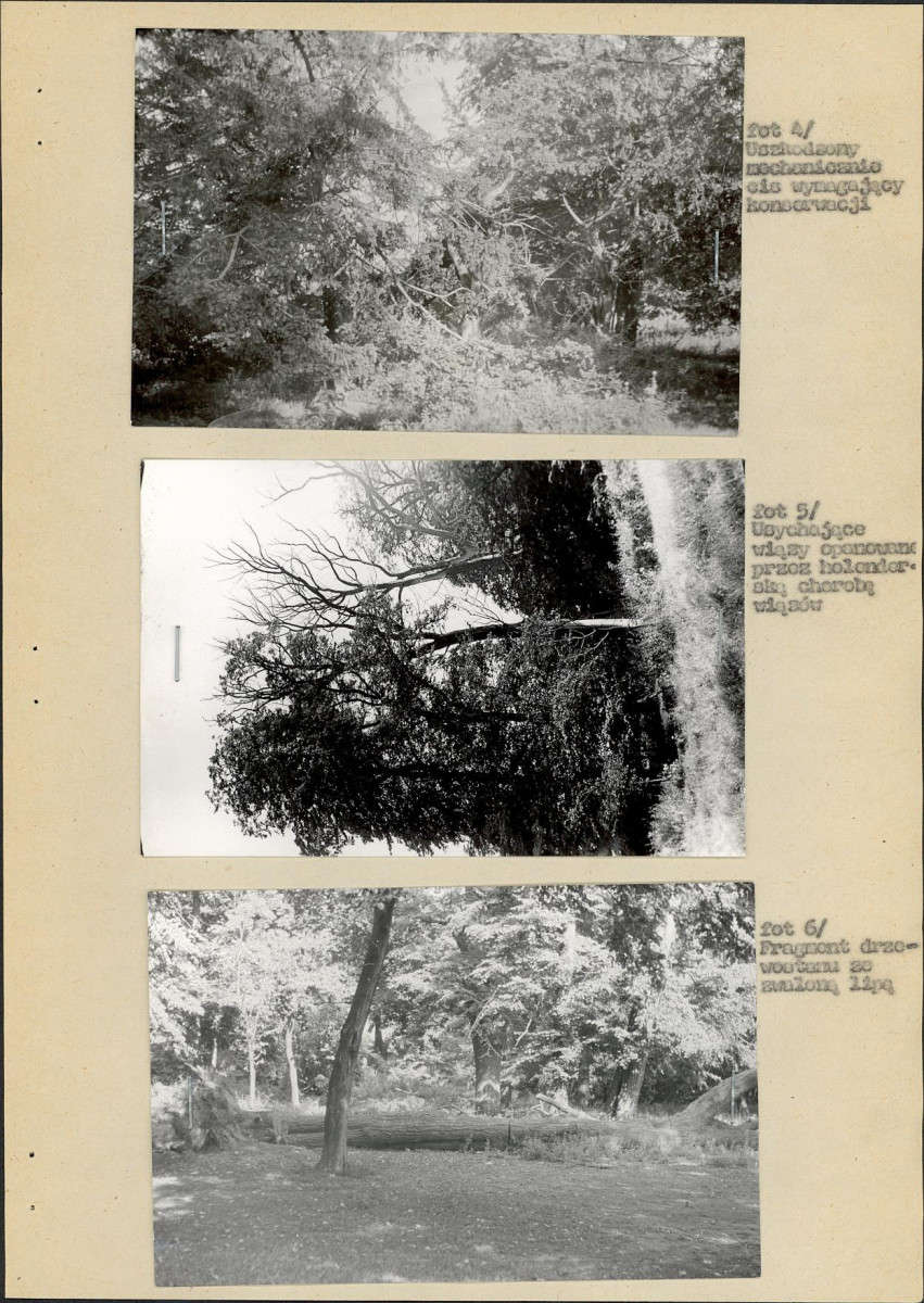 EP - Ewidencja parkowa, skan nr 21
