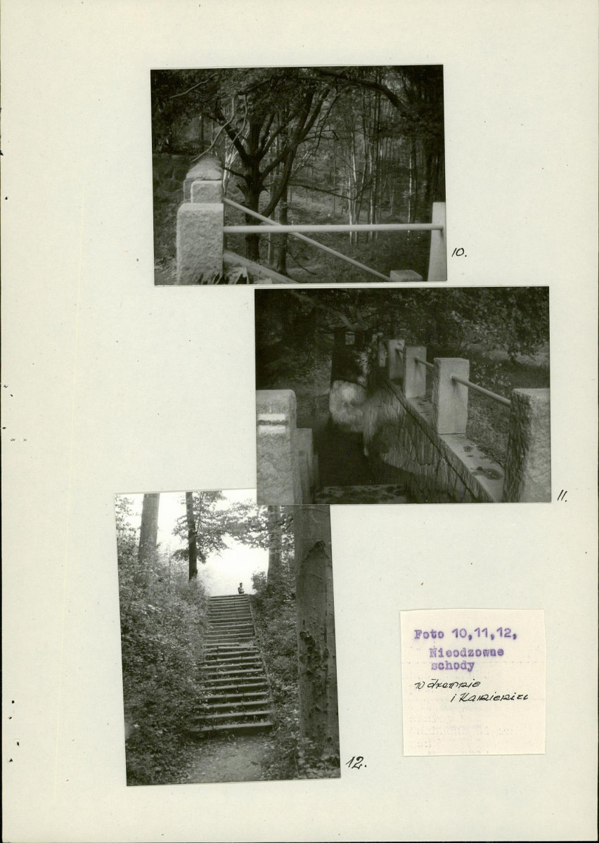 Ewidencja parkowa, skan nr 29