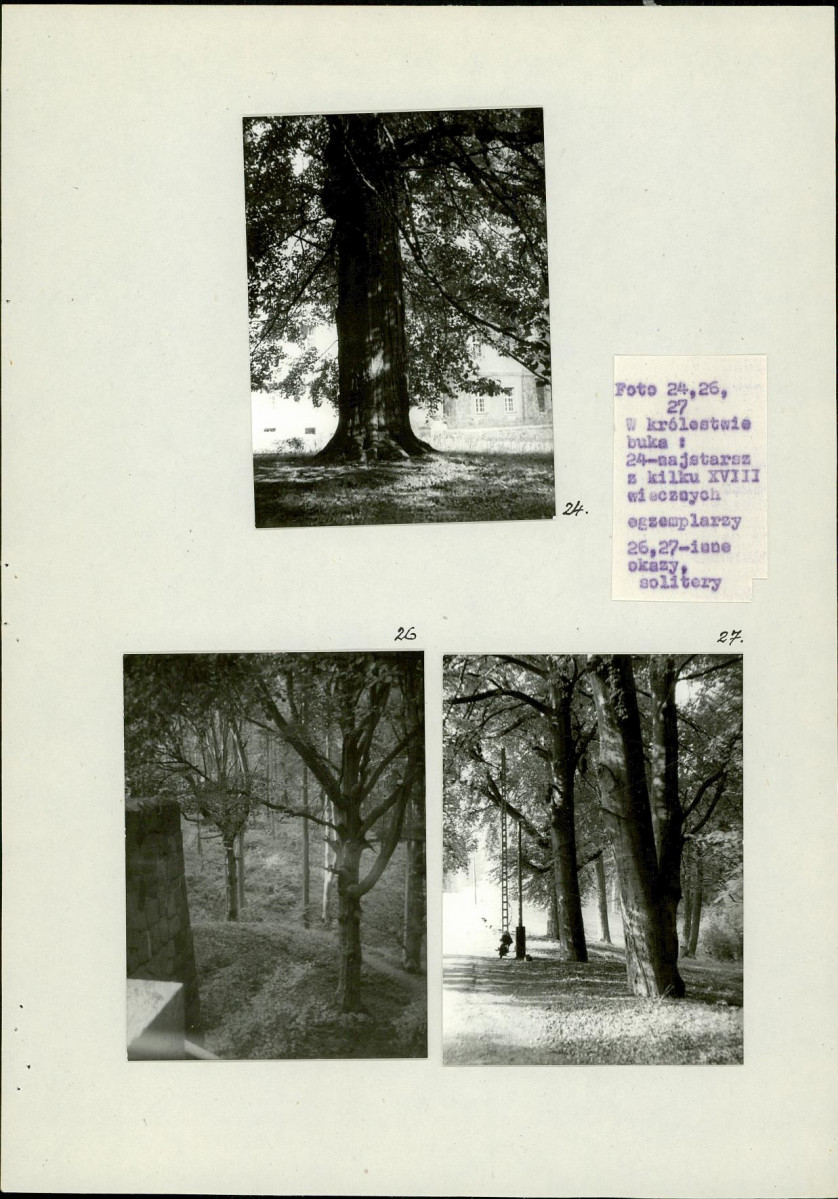 Ewidencja parkowa, skan nr 33