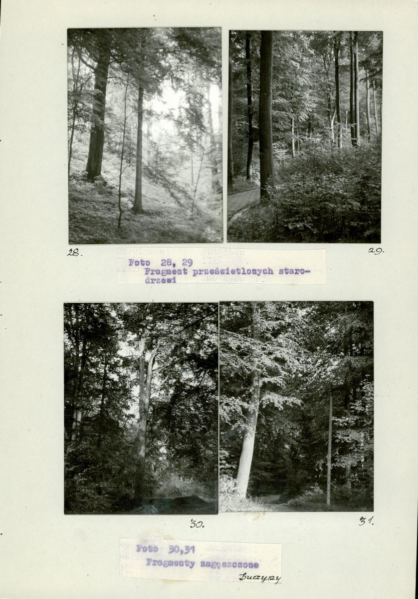 Ewidencja parkowa, skan nr 34