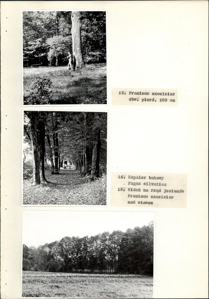 EP - Ewidencja parkowa, skan nr 18