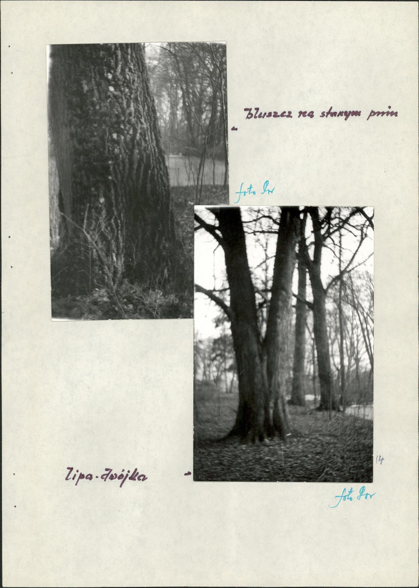 EP - Ewidencja parkowa, skan nr 34