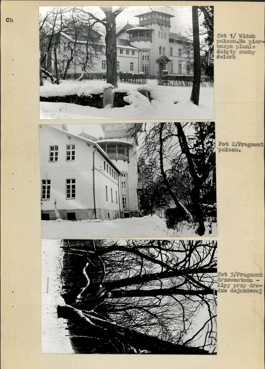 Ewidencja parkowa, skan nr 17