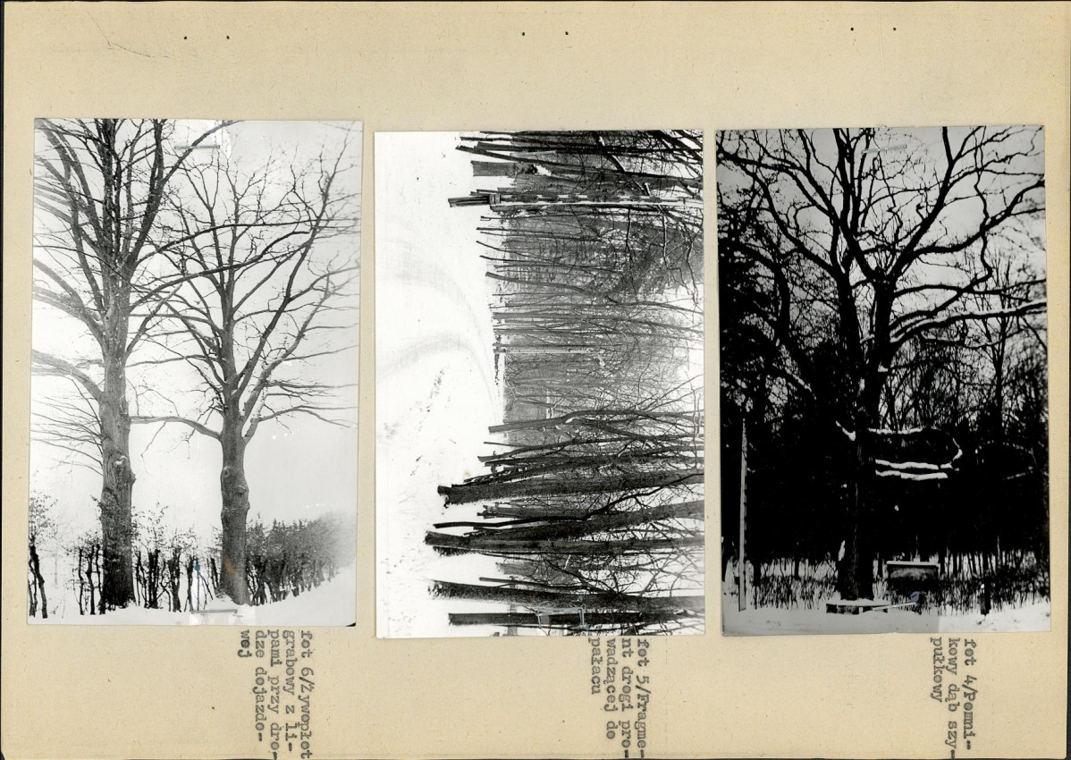 Ewidencja parkowa, skan nr 18