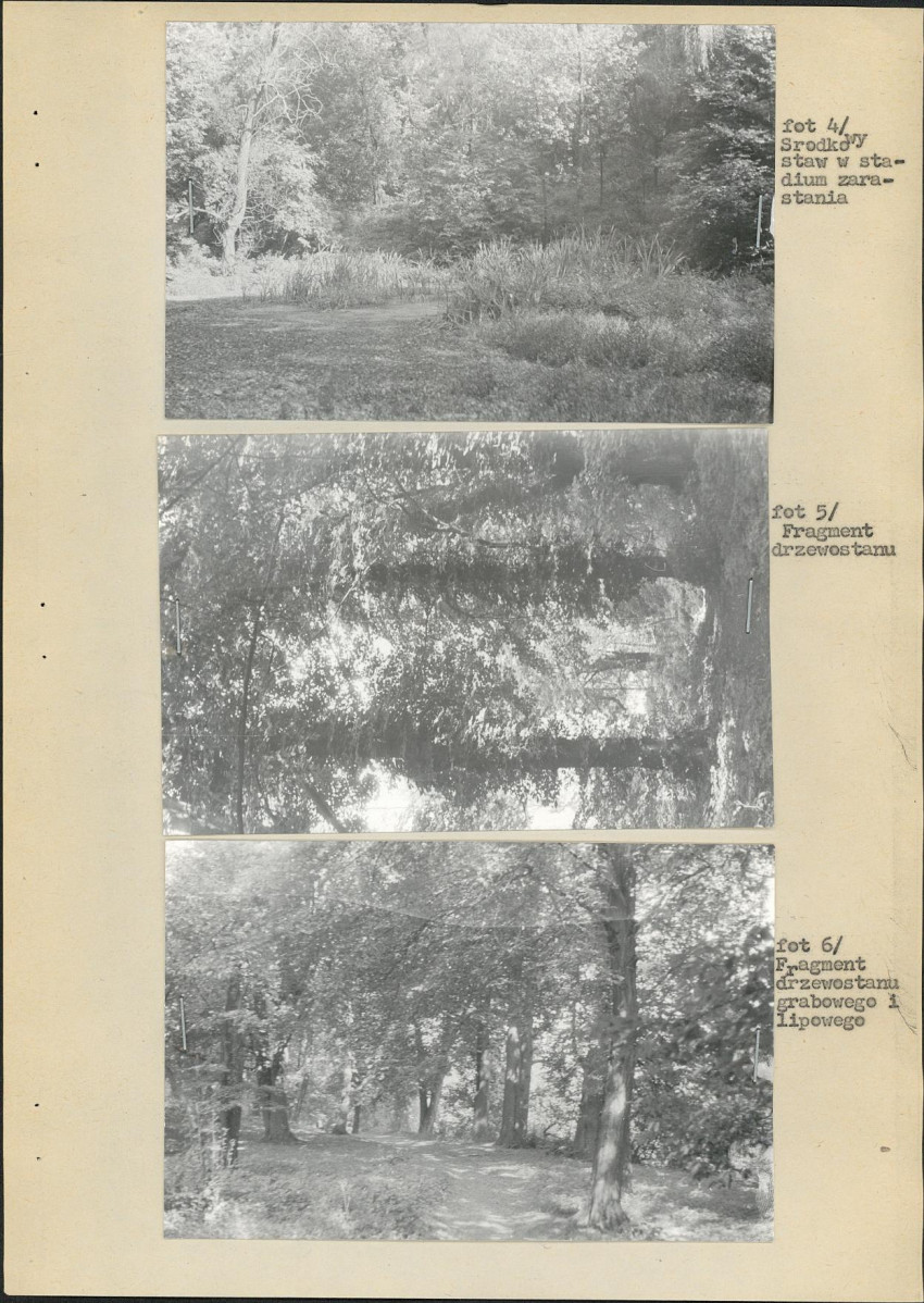 Ewidencja parkowa, skan nr 19