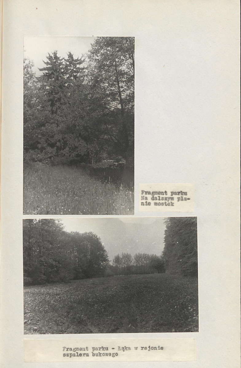 EP - Ewidencja parkowa, skan nr 36