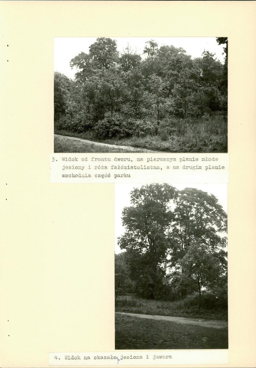 EP - Ewidencja parkowa, skan nr 24