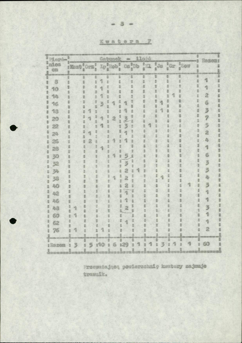 Ewidencja parkowa, skan nr 13