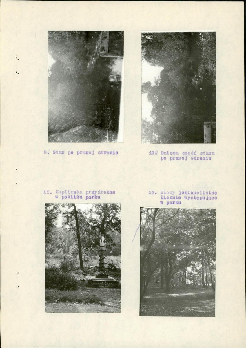 Ewidencja parkowa, skan nr 13