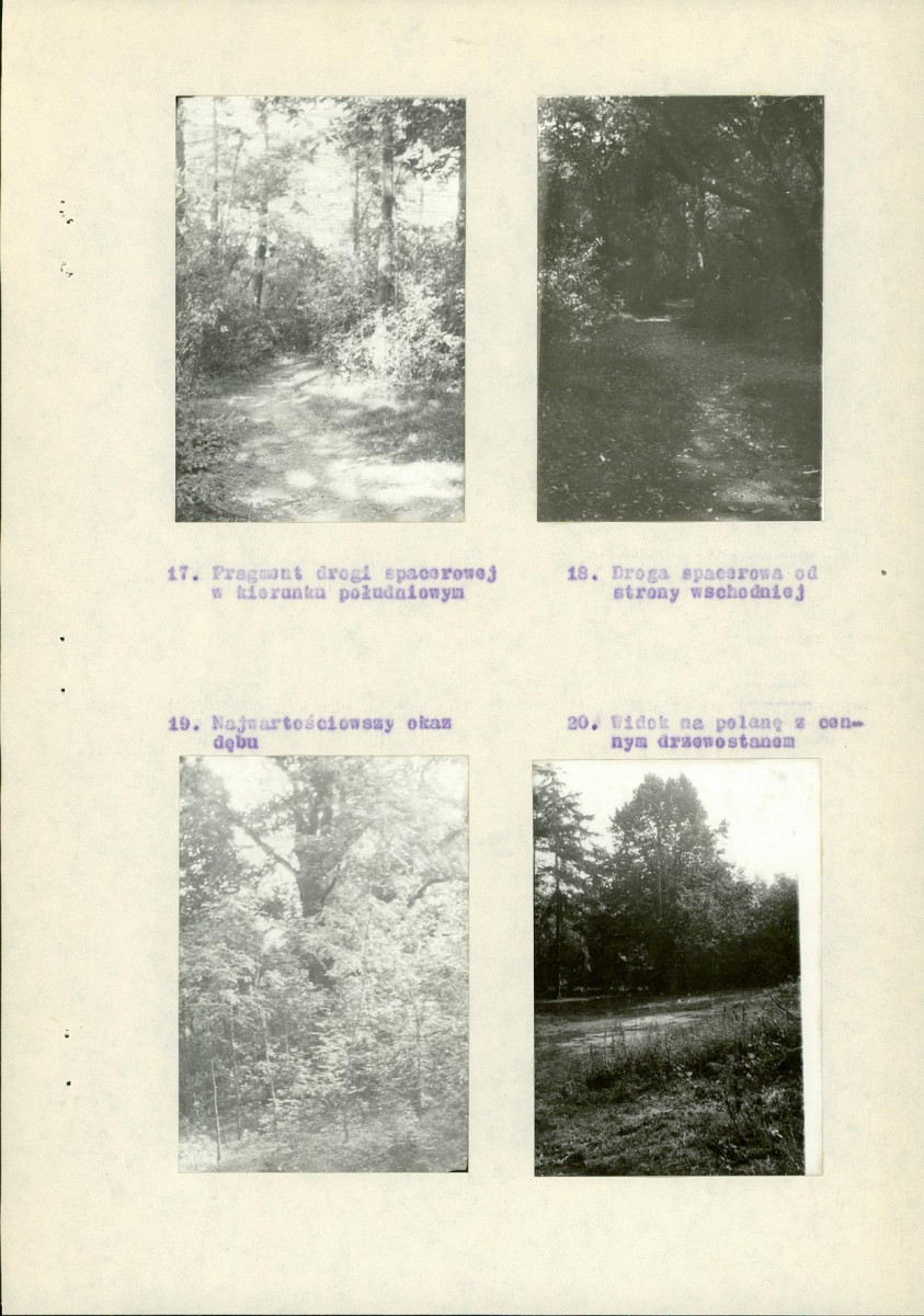 Ewidencja parkowa, skan nr 15