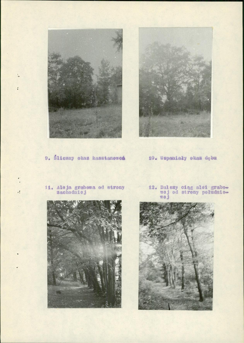 Ewidencja parkowa, skan nr 12