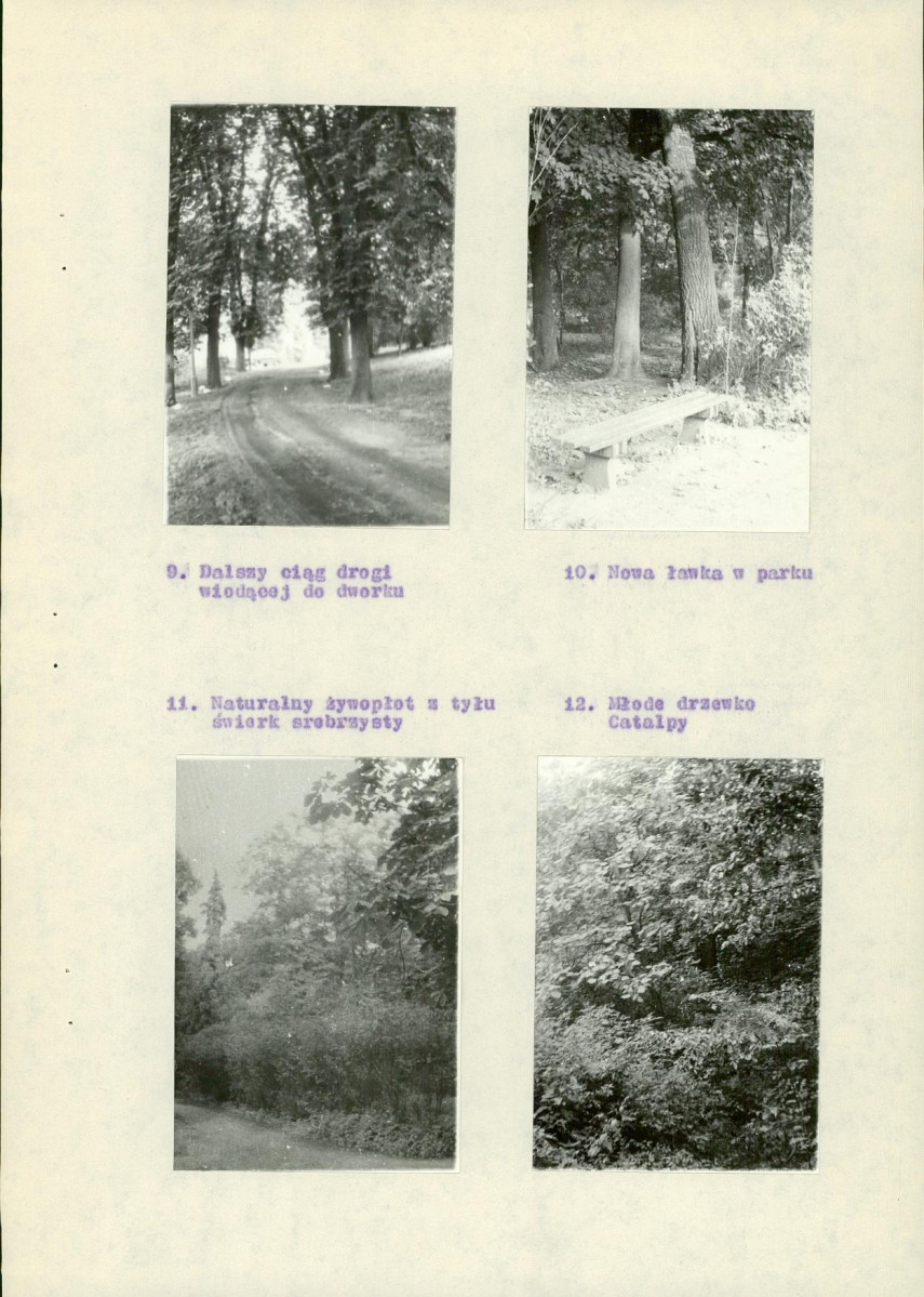 EP - Ewidencja parkowa, skan nr 13
