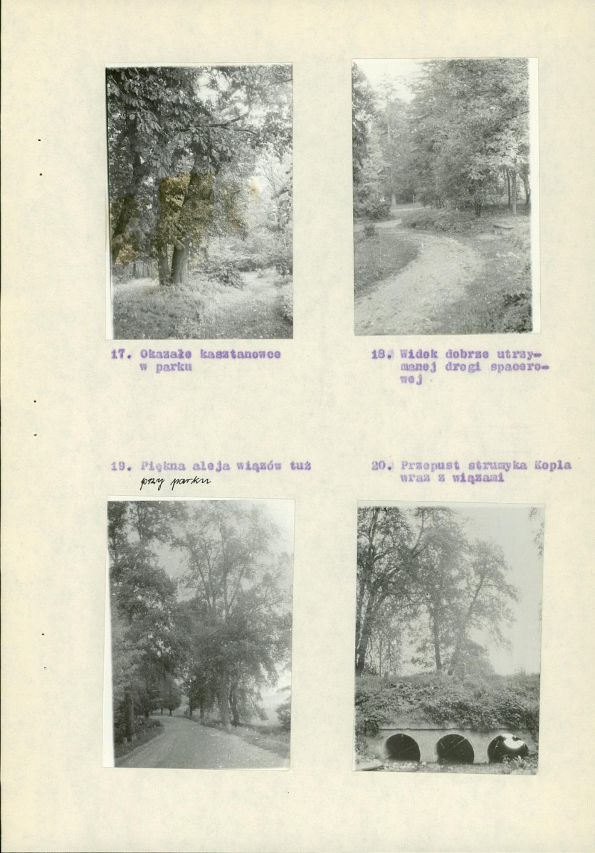 EP - Ewidencja parkowa, skan nr 15
