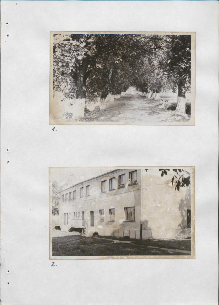 Ewidencja parkowa, skan nr 20
