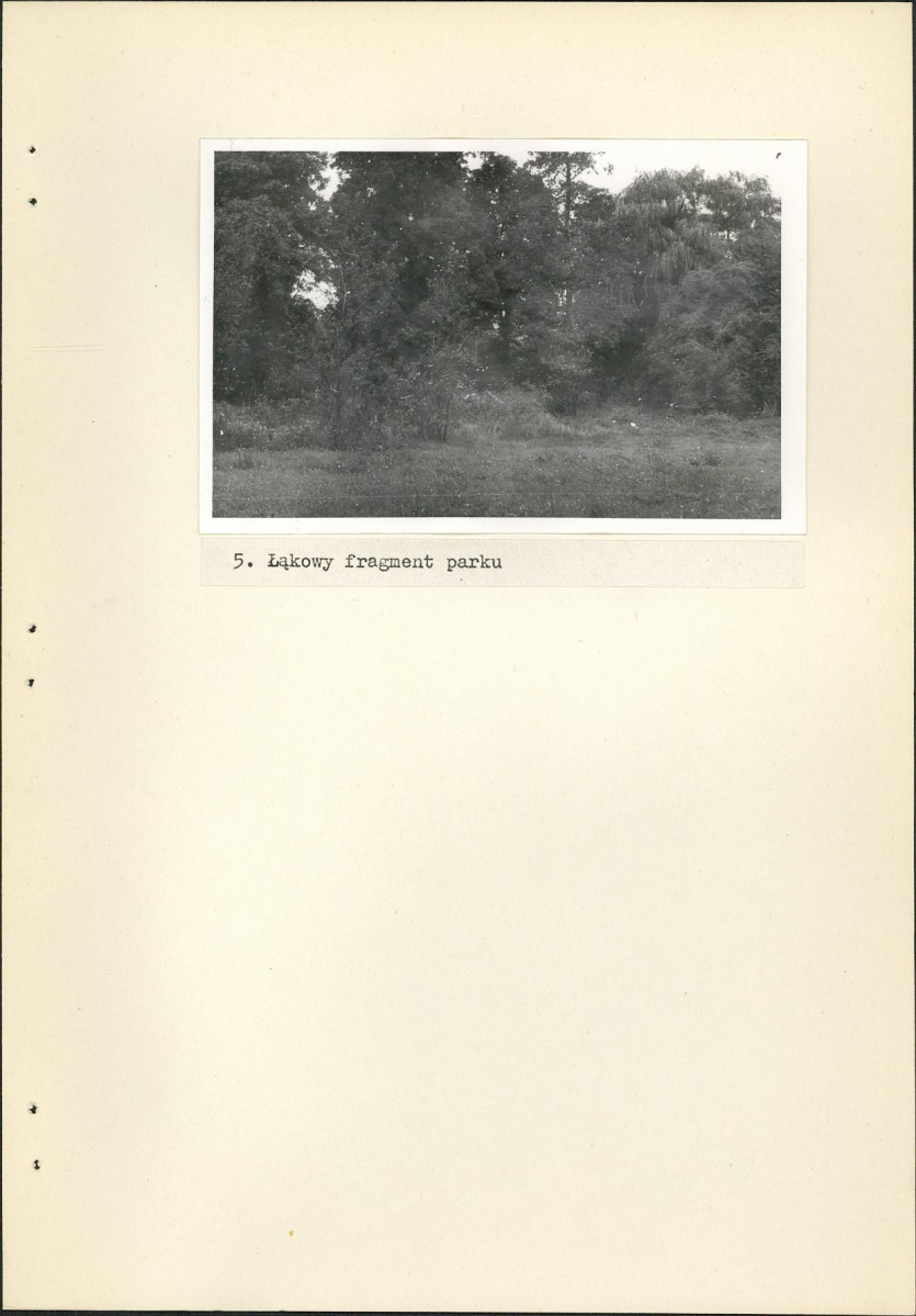EP - Ewidencja parkowa, skan nr 19