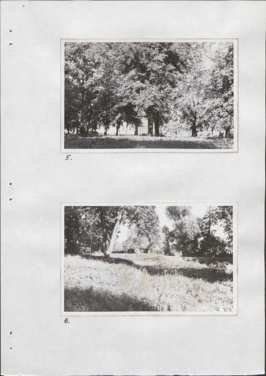 Ewidencja parkowa, skan nr 20