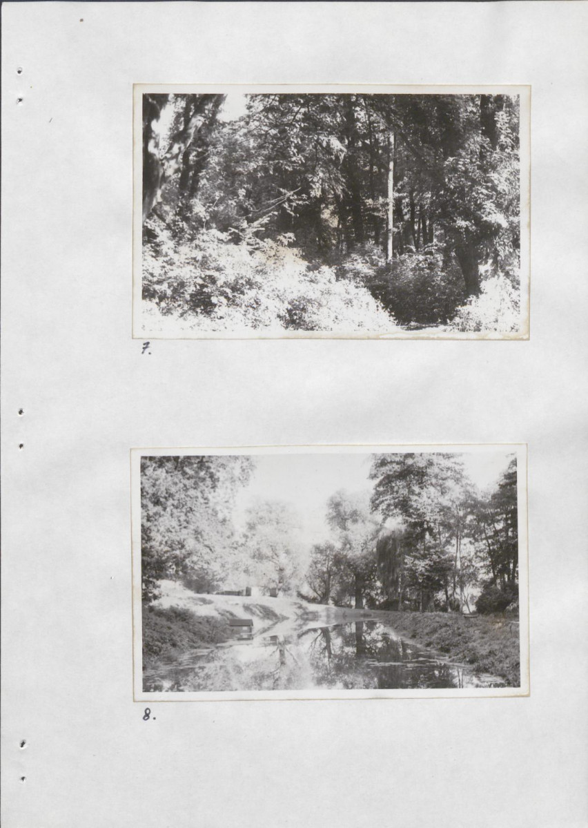 Ewidencja parkowa, skan nr 21