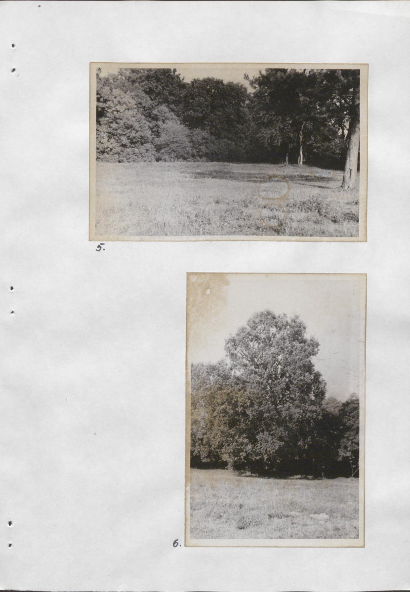 Ewidencja parkowa, skan nr 22