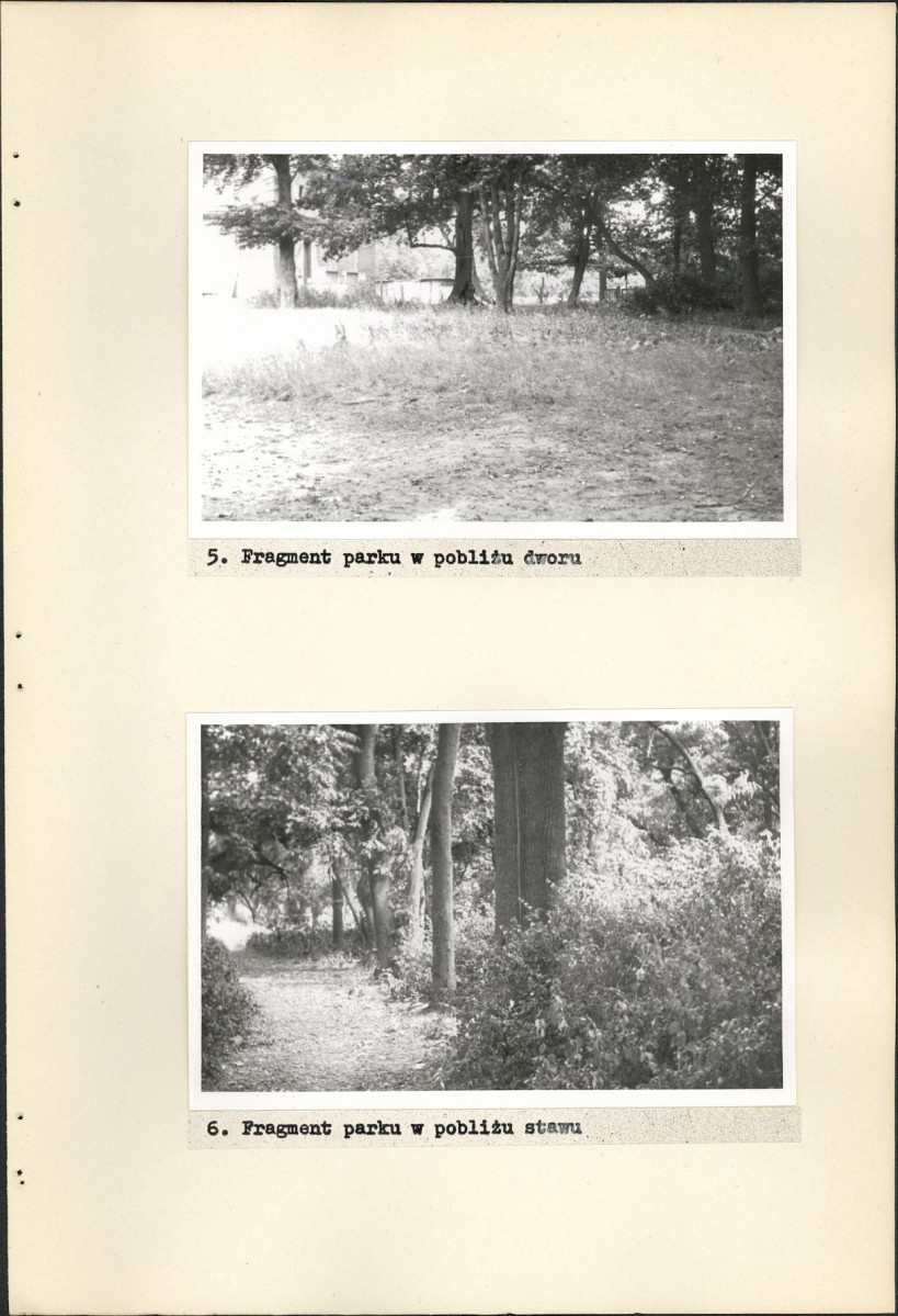 EP - Ewidencja parkowa, skan nr 22