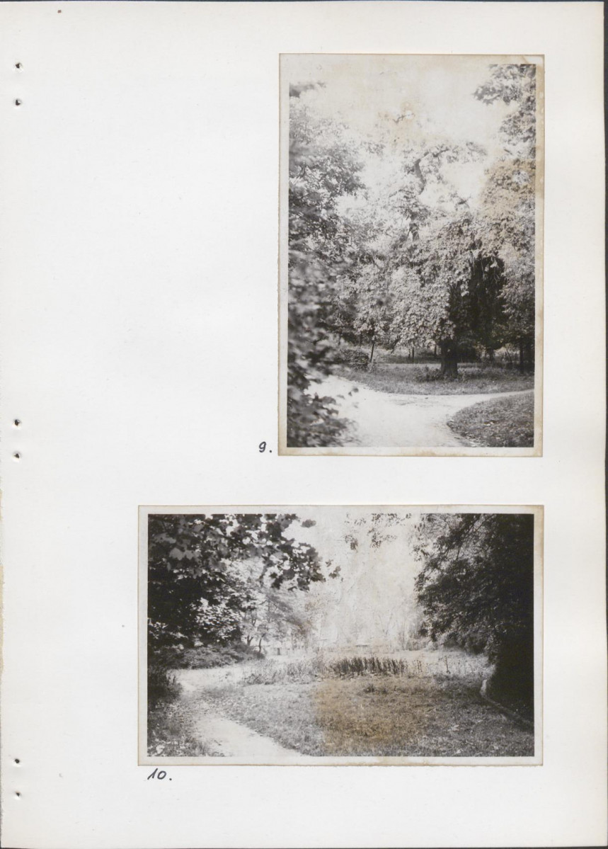 Ewidencja parkowa, skan nr 32