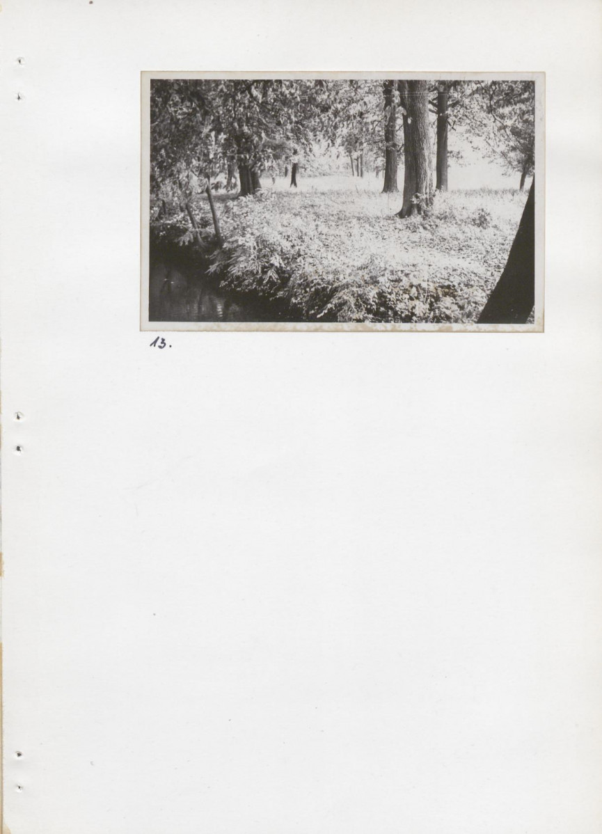 Ewidencja parkowa, skan nr 34