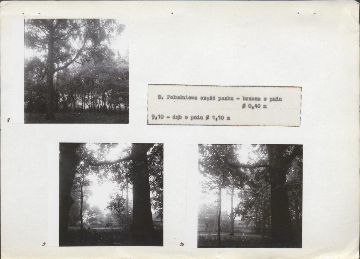 EP - Ewidencja parkowa, skan nr 18