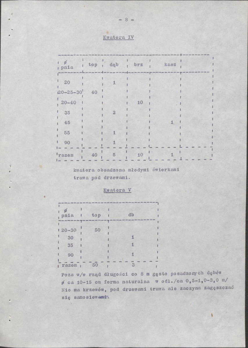 Ewidencja parkowa, skan nr 14