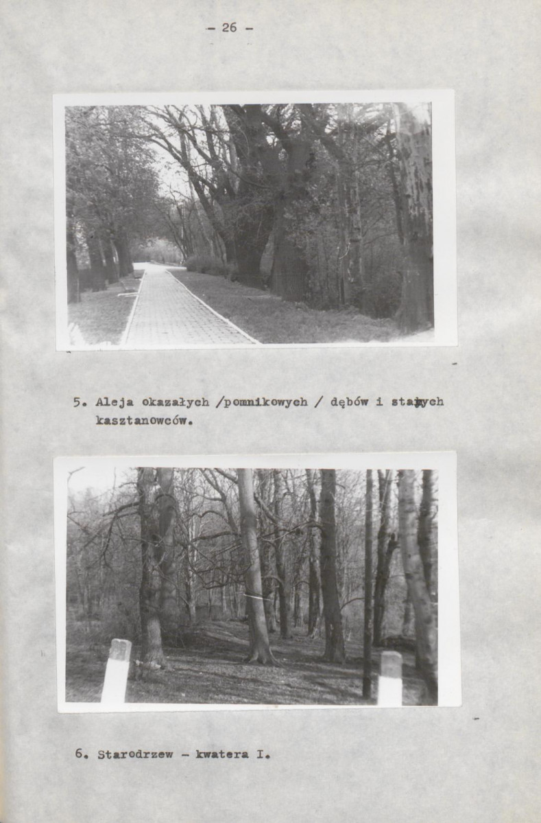 EP - Ewidencja parkowa, skan nr 34