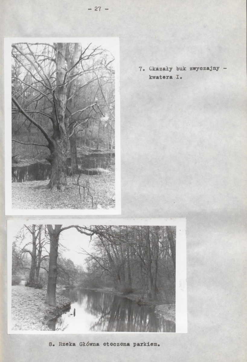 EP - Ewidencja parkowa, skan nr 35