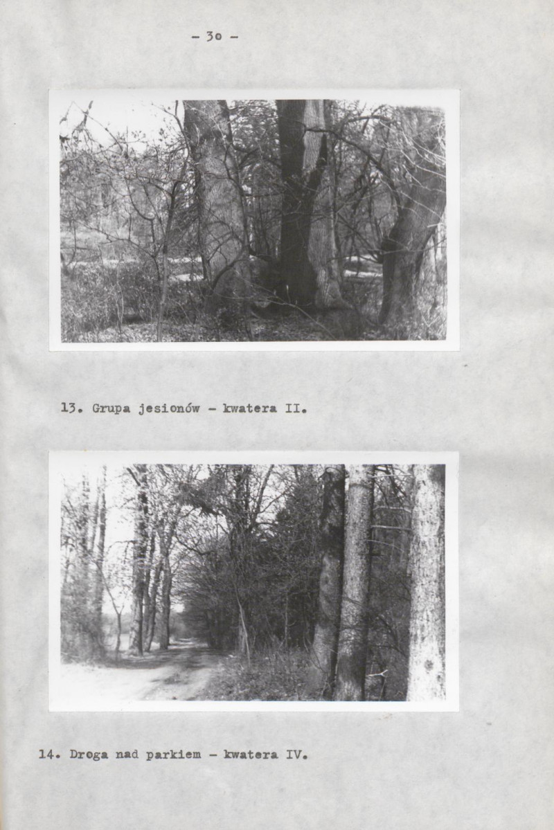 EP - Ewidencja parkowa, skan nr 38