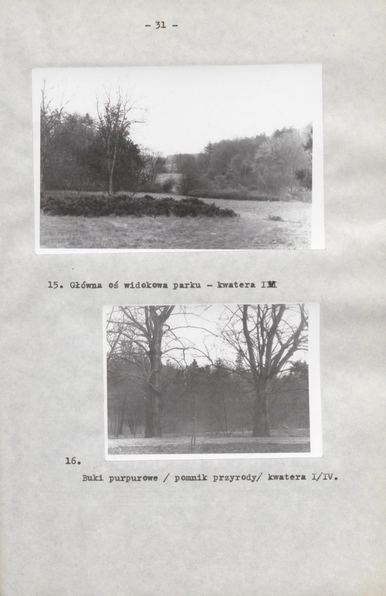 EP - Ewidencja parkowa, skan nr 39